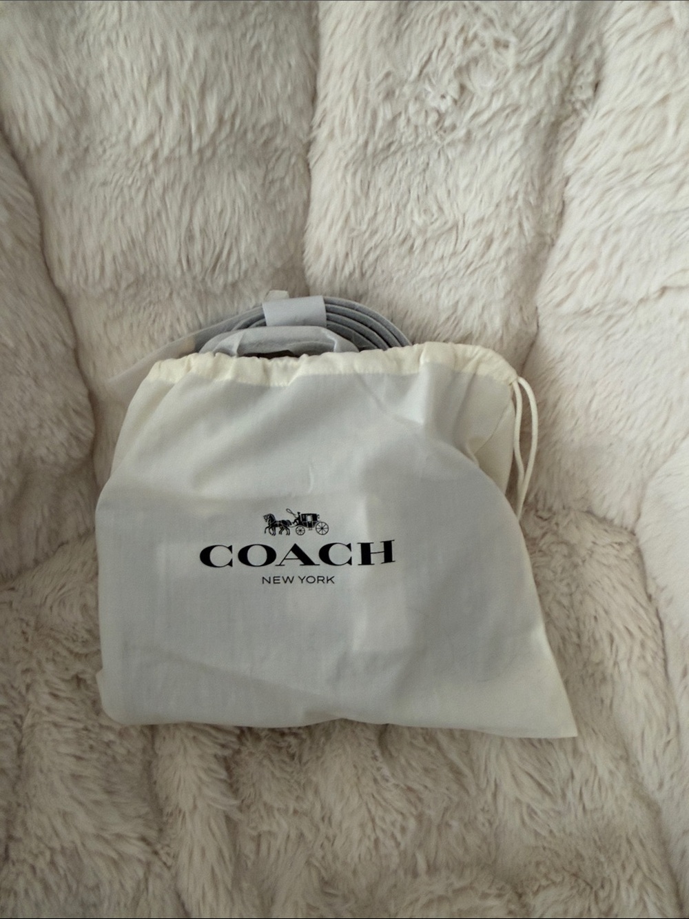 Coach Rhyder Satchel Bag 24 - Picture 4 of 8